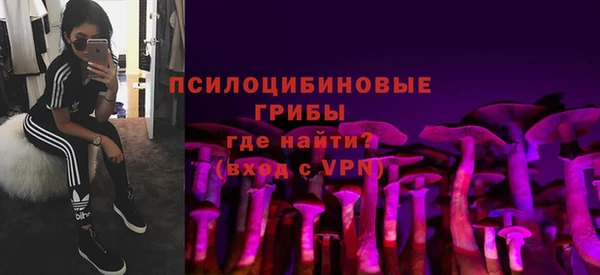 дживик Алексин
