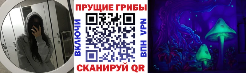 Псилоцибиновые грибы Psilocybine cubensis  кракен как войти  Соликамск 