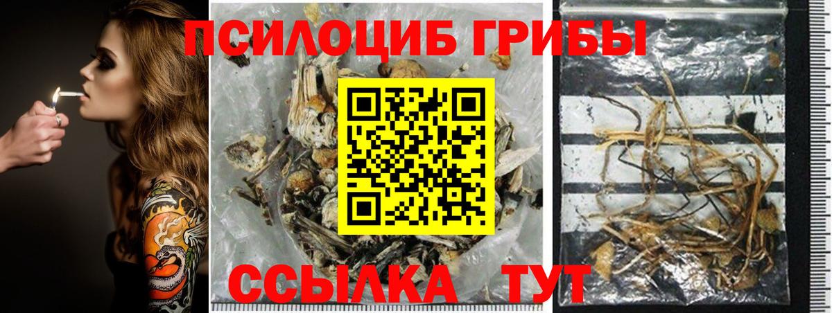 Галлюциногенные грибы MAGIC MUSHROOMS  Псилоцибиновые грибы ЛСД  Вход с VPN  где купить наркоту  Соликамск 