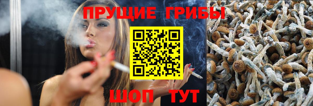 Соликамск  Галлюциногенные грибы ЛСД  Вход с VPN 