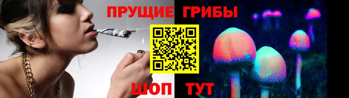 Галлюциногенные грибы прущие грибы Соликамск